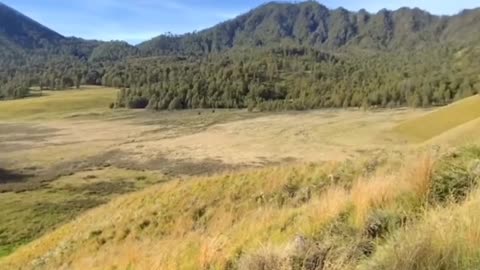 Video pemandangan indah pegunungan