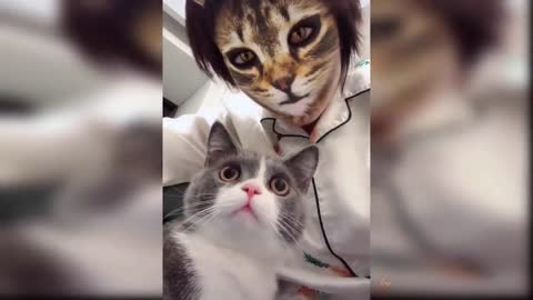 Baby Cats - Cute and Funny Cat Videos Compilation _11