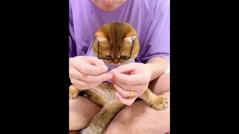 Animals Cute Reaction,Compelet Video|compilation Part 1