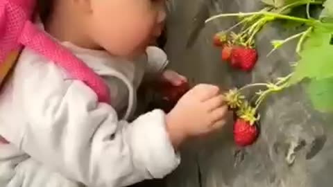 Cut ☺️ Baby Eating Strawberry 🍓 Watch The And