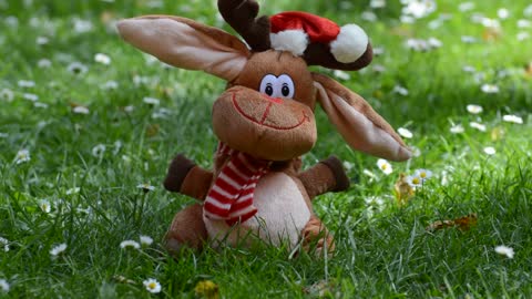 Reindeer christmas moose funny dance wiggle ears