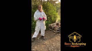 Beekeeping in Malta - Part 2 - Discussion about Beekeeping
