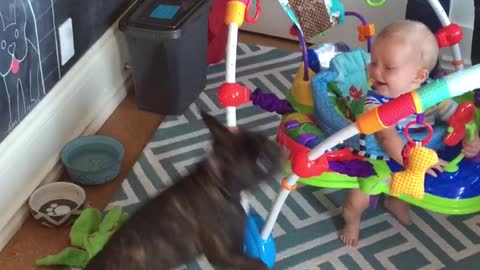 Baby screams in delight at balloon-obsessed dog