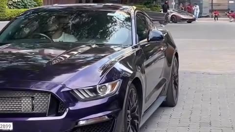 Mustang the beast 💪🏼 #trending #foryou #fyp #tiktok #supercars #carslover