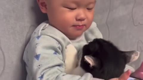 baby reaction cat loveing baby