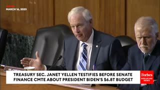 'You Don't Know That Off The Top Of Your Head?': Ron Johnson Hammers Janet Yellen With Questions
