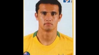 PANINI STICKERS AUSTRALIA TEAM WORLD CUP 2010