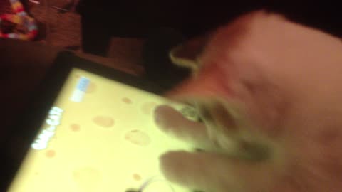 Group of cats play on tablet