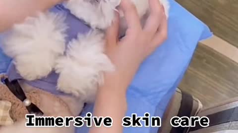 How do you usually take care of your puppy’s skin