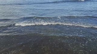 Soothing Sound of the Waves