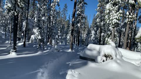 Powdered Sugar Snow – Central Oregon – Swampy Lakes Sno-Park – 4K