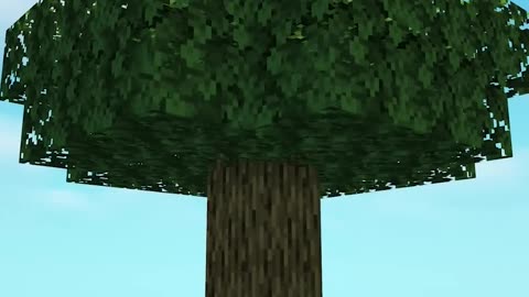 How to grow a tree in Minecraft