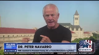 Navarro on the fed