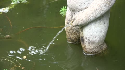 Wonderful view of a statue urinating in the water