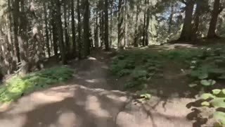 Downhill Mountain Biking in Switzerland