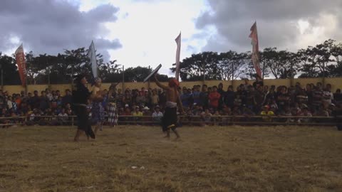 The traditional Presean Dance of Sasak Tribe of Lombok