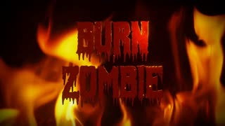 Burn Zombie!