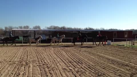 Horse Riding Lessons in Madrid