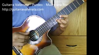Muere una flor - GuitarraVallenata Instrumental - Binomio de Oro