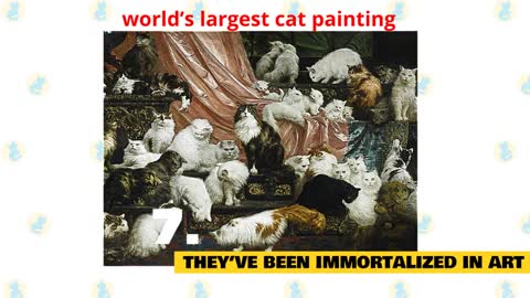 Persian Cats 101 : Fun Facts & Myths
