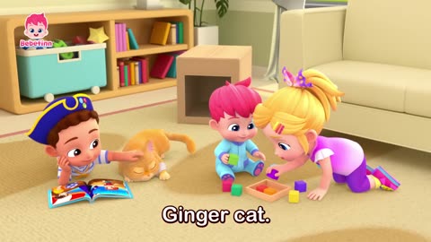 Ginger Cat 😺 - Babefinn