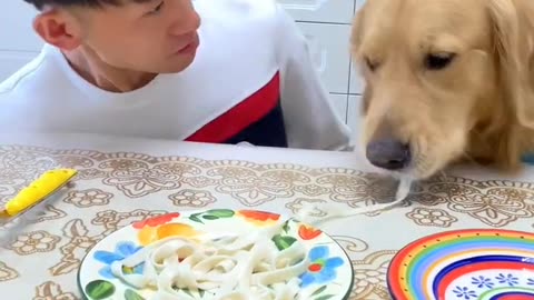 Noodle eating competition with my dog