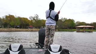 BIG CRAPPIE SPAWNING in Shallow Brush! CATCH & COOK