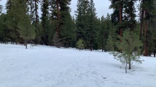 Critical Loop Junction, Turn RIGHT – Bandit Springs Sno-Park – Central Oregon – 4K