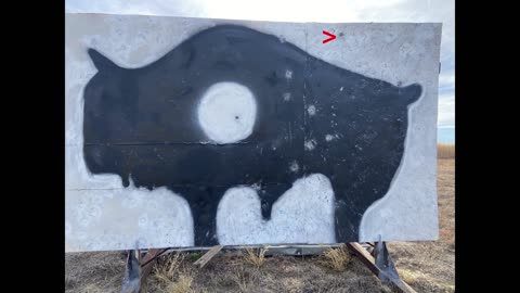 Tom and the 800 buffalo target