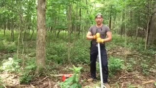 Northern Kentucky Project: Bush Honeysuckle Removal - Mechanical Method