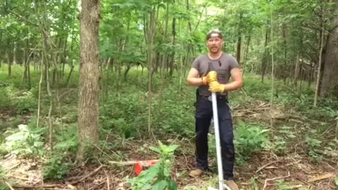 Northern Kentucky Project: Bush Honeysuckle Removal - Mechanical Method