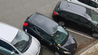 Driver Makes Several Attempts to Escape Parking Spot