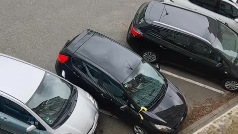 Driver Makes Several Attempts to Escape Parking Spot