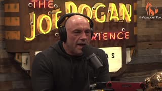 Joe Rogan Slams the 'Stupid Story' from the New York Times About COVID Coming from a Raccoon Dog