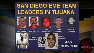 SAN DIEGO MEXICAN MAFIA MEMBERS: A CARTEL ALLIANCE-Part 2