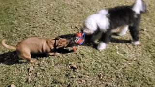 Tug of War