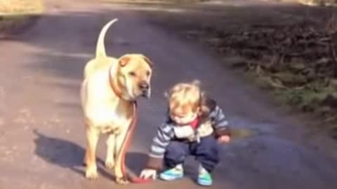 Best Friends - a kid, a dog and a puddle