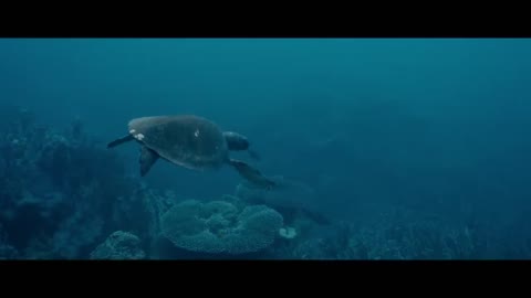 Blueback | Official Trailer | 2023 [HD]