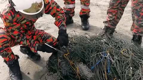 Sea turtil rescue after gutting tangled in fishing nets.