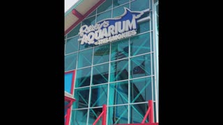 Aquarium Gatlinburg TN