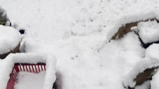 Snowy walk outside!