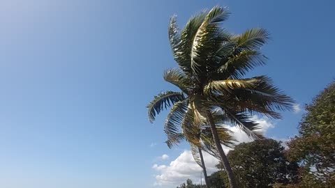 Beautiful Day Lautoka Fiji