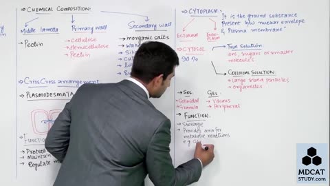 LEC#4 CELL WALL + CYTOPLASM