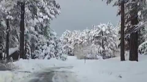 Heavy snow covers Flagstaff as winter storm sweeps northern Arizona