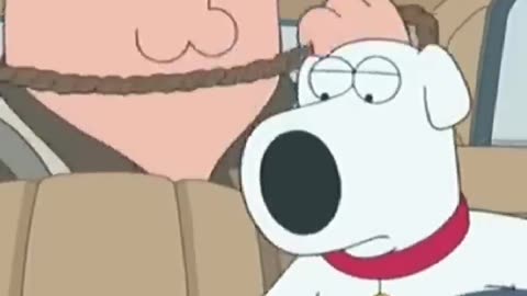 Funny Family Guy Video