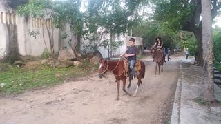 Activities for children in Puerto Vallarta