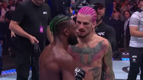 Sean O’Malley KOs Aljamain Sterling at UFC 292