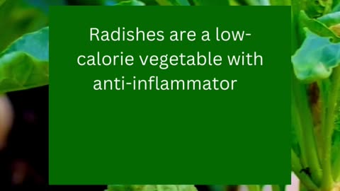 Radishes