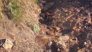 Natural waterfall still running after flood