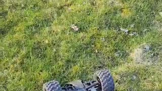 I Almost Get Hit By Another RC CAR!